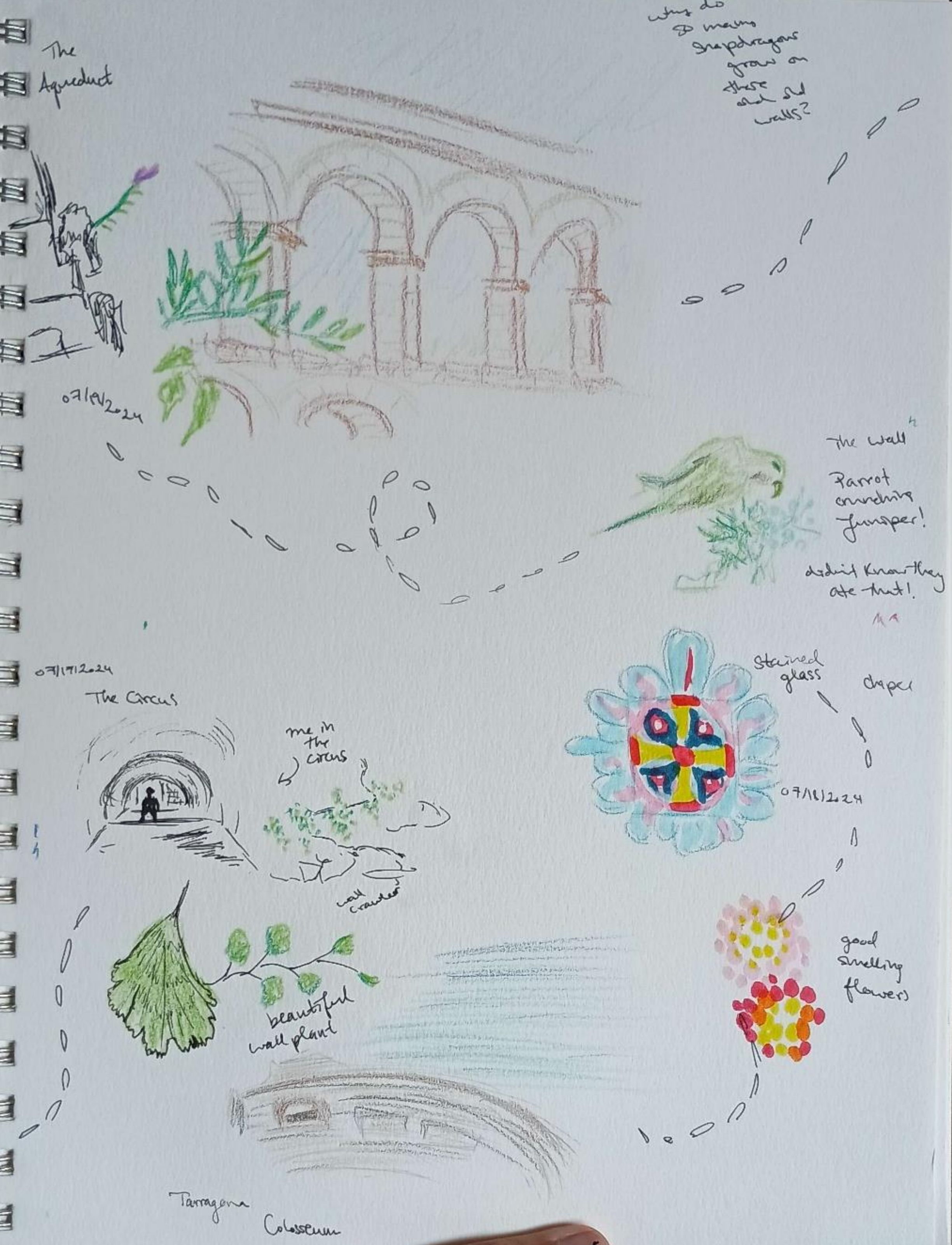 Event Map Flowing from Place to Place-Colored Pencil, Pen, and Watercolor Marker